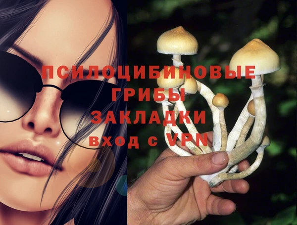 прущая мука Абинск